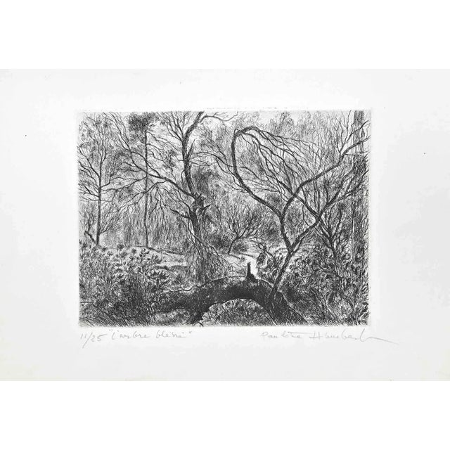 Paulette Humbert, L'Arbre Blessé, Etching, 1950s For Sale