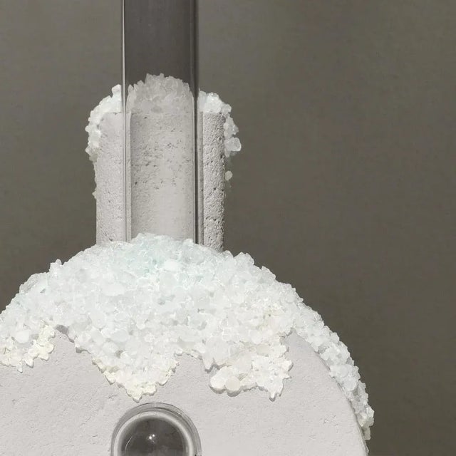 Winter 1 Cochlea Della Metamorfosi 1 Seasons Edition Vase by Coki Barbieri For Sale - Image 4 of 8