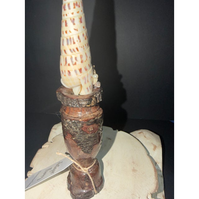 Celestial Meets the Sea Shell Collage-Coastal Art Sculpture For Sale In Chicago - Image 6 of 6