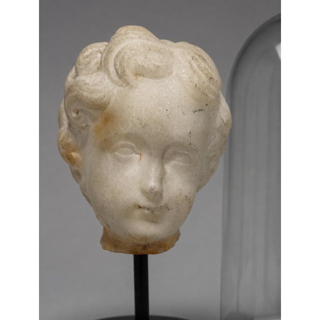 Grand Tour 18th C or Earlier, Italian Grand Tour Marble Head of a Young Child W/ Cloche For Sale - Image 3 of 10