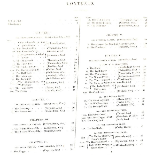 "British Wild Flowers" 1846 Mrs. Loudon For Sale - Image 4 of 12