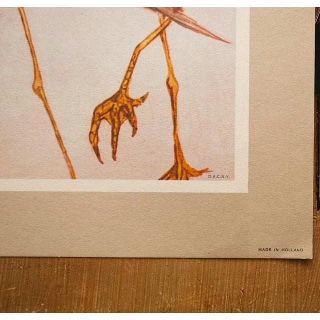 Printmaking Materials 1951 After After Dali, "Birds" First and Only Edition Period Lithograph From the Mrs. Albert D. Lasker Collection For Sale - Image 7 of 10