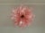 Murano Ceiling Lamp, 32 Pink Felci Glasses For Sale - Image 9 of 9