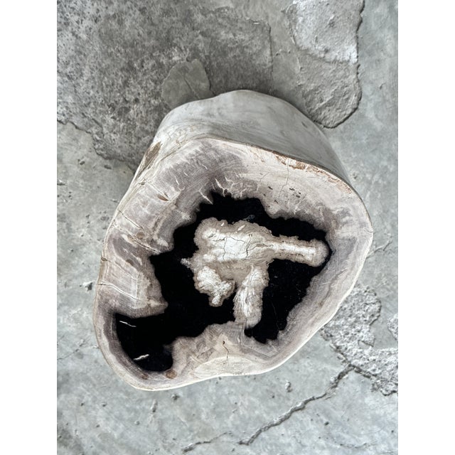 Side Table in Petrified Wood For Sale - Image 18 of 18