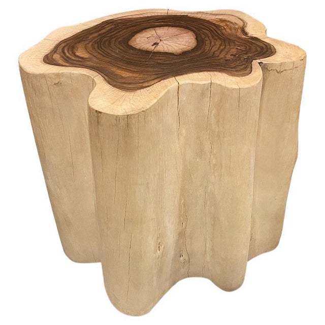 Wood Andrianna Shamaris Rare Sono Wood Oversized Side Table or Pedestal For Sale - Image 7 of 18