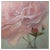 Elena Mardashova, Rose in Close-up, Oil Painting, 2022 For Sale