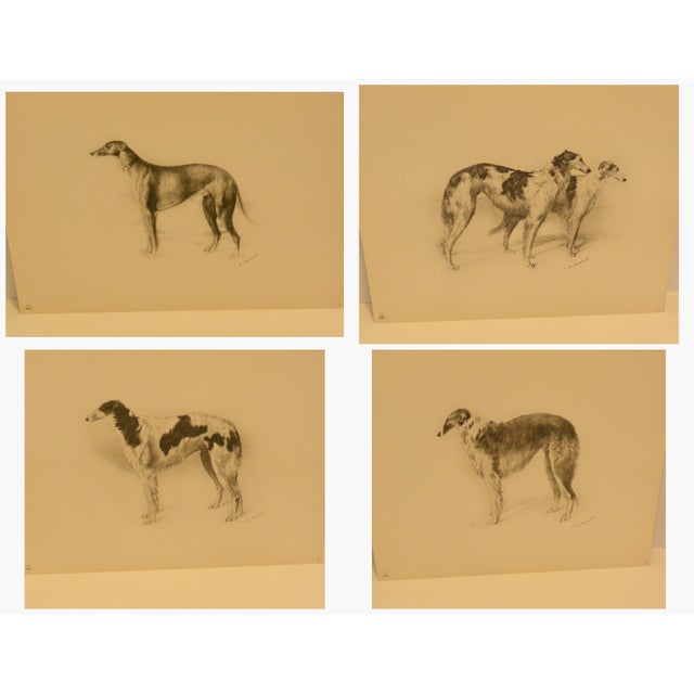 Rare 1934 Limited Edition Borzoi Portfolio: 28 Lithographs For Sale - Image 13 of 15
