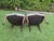 Antique French Louis XV Style Walnut Bergère Armchairs, a Pair For Sale - Image 10 of 18