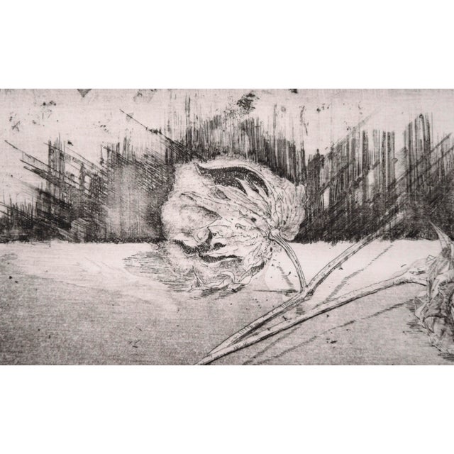 "Ii Cottonballs" - Intaglio Print by Tomoya Uchida For Sale - Image 4 of 8