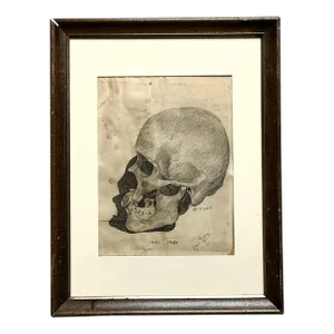 Vintage Boho Original Pencil Sketch of Skull
