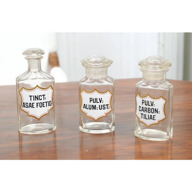 Transparent 1840s French Louis-Philippe Period Glass Apothecary Jar with Latin Label For Sale - Image 8 of 12