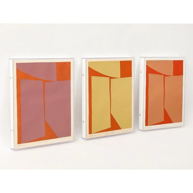 1970s 1970s Vintage Color Study 2, Framed For Sale - Image 5 of 8