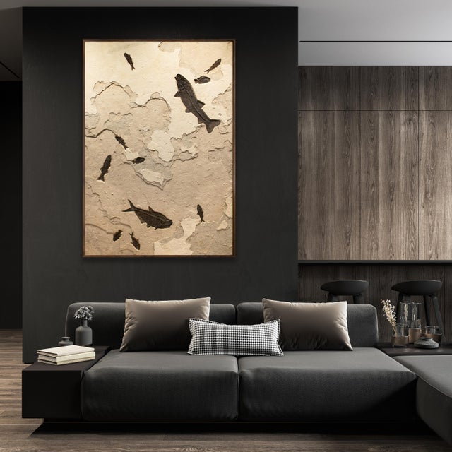 Large Fossil Fish Mural 3001gm For Sale - Image 4 of 6