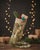 This vintage wool kilim stocking features a rich olive green and golden leaf motif across the body, finished with a...