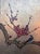 Mid-Century Modern 20thC. Mid-Century Modern Rimpa Style 2-Panel Folding Screen (Byōbu) – 54" X 54" For Sale - Image 3 of 11