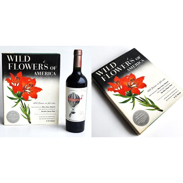 1970s Smithsonian Edition "Wildflowers of America" Coffee Table Book For Sale - Image 9 of 11