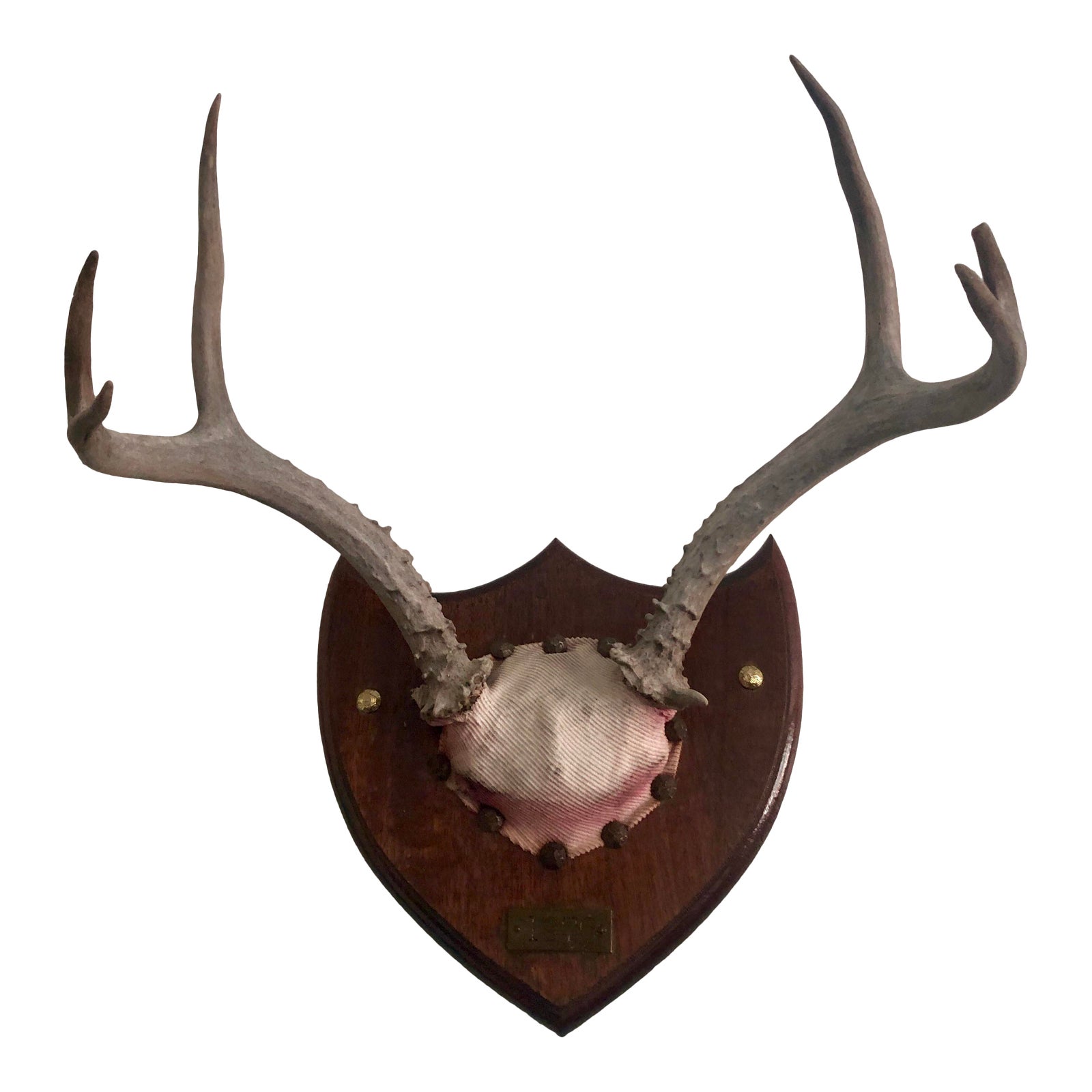 Vintage Mounted Antler Wall Plaque | Chairish