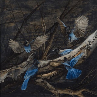 Stellar Jays on Birch by Terra Novak | Oil on wood Blue jays perched on a birch branch. For Sale
