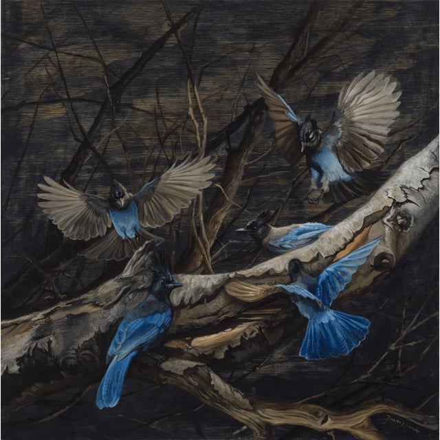 Stellar Jays on Birch by Terra Novak | Oil on wood Blue jays perched on a birch branch. For Sale