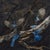 Stellar Jays on Birch by Terra Novak | Oil on wood Blue jays perched on a birch branch. For Sale