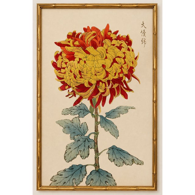 Asian Red Mum by Hasegawa, Vintage Japanese Botanical Art Print, 24" X 36" For Sale In Buffalo - Image 6 of 9