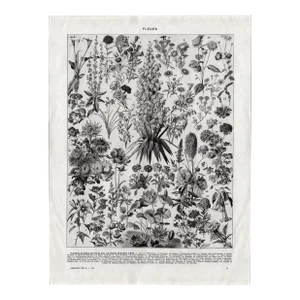 “Fleurs - Plantes Vivaces De Plein Air”- Giclee Print of an Antique Floral Encyclopedia Page Illustrated by Millot - Black and Off-White Colorway -