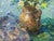 №Vern 105 *** ABOUT THIS PAINTING *** * TITLE: "Daisies" * ARTISTS: Kalashnik Nikolai Fedorovich * SIZE: 50x34...