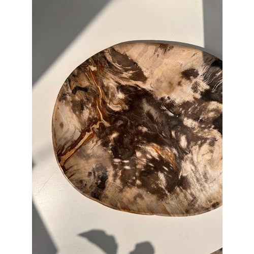 Very Large Vide-Poche or Dish in Petrified Wood For Sale - Image 14 of 18