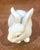 A sweet ceramic bunny by Fitz and Floyd. Beautifully crafted from durable, glazed earthenware for long-lasting elegance,...