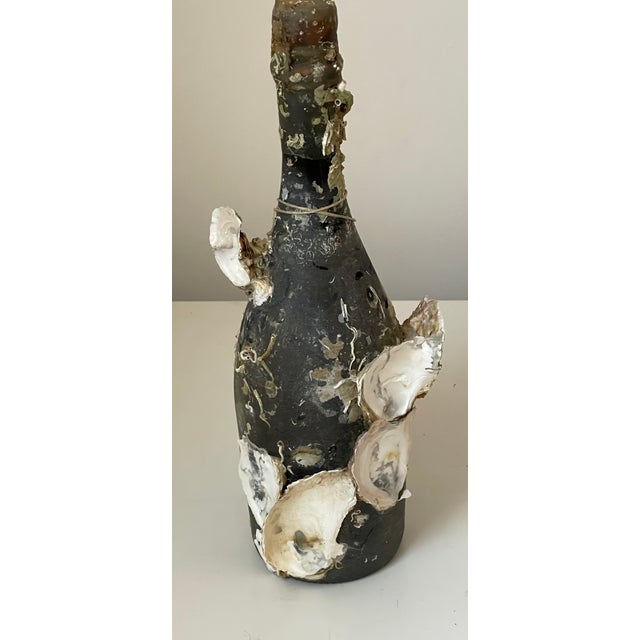 Shell Antique Coastal Champagne Bottle With Organic Oyster Shells For Sale - Image 7 of 7