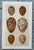 Late 19th Century Set of 8 English Late 19th Chromolithographs of Bird Eggs For Sale - Image 5 of 10