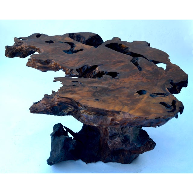 Wood 1960s Redwood Burl Coffee Table For Sale - Image 7 of 7