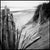 Not Yet Made - Made To Order Paul Cooklin, Fence II, Dawlish Warren, Devon, Edition of 50 For Sale - Image 5 of 5