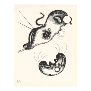 Kandinsky Lithograph 1 XXe Siele 1957*