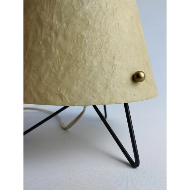 Mid-Century Table Lamp with Fiberglass Shade, 1950 For Sale - Image 5 of 10
