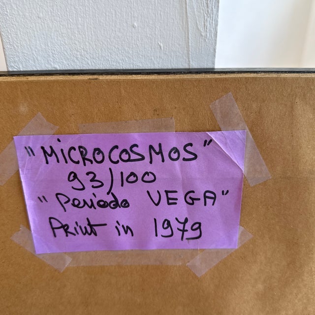 Printmaking Materials Victor Vasarely Microcosmos Vintage Print For Sale - Image 7 of 12