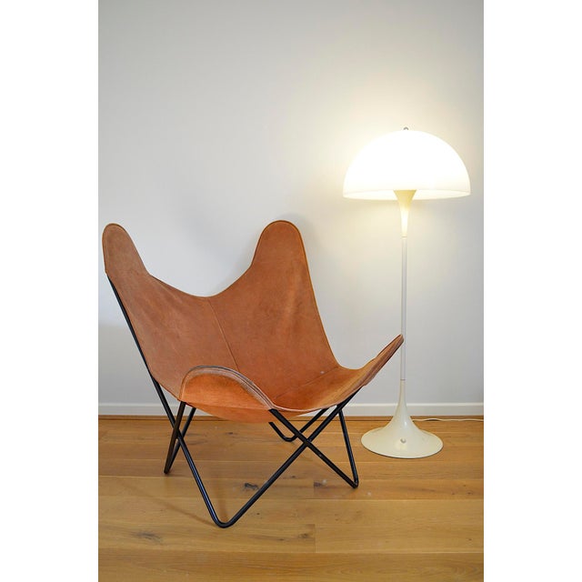 Original "Butterfly" chair in black lacquered metal and original cognac-colored leather/suede. Designed by Jorge Hardoy-...