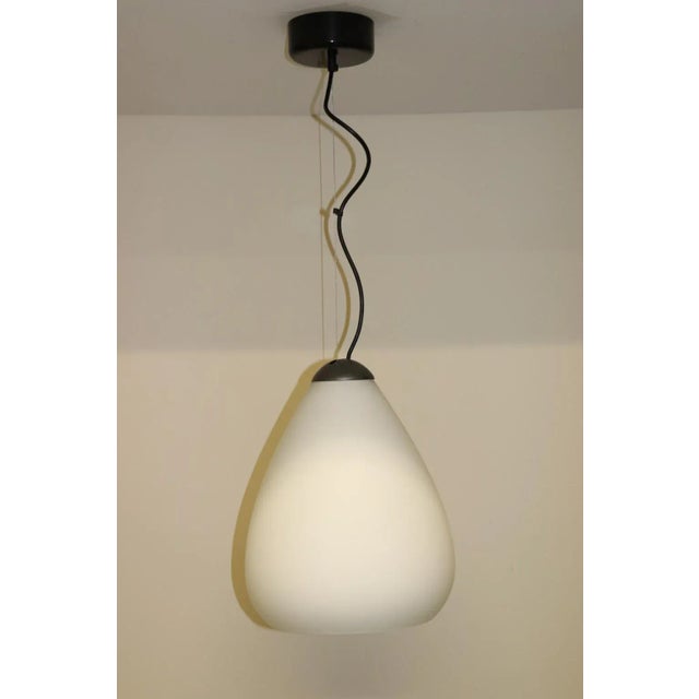 Federico Codato Murano Glass Pendant Lamp For Sale - Image 12 of 12