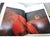 3 Oversized Adventure-Theme Coffee-Table Books – Bowers Museum-Curated Tibetan Book For Sale - Image 14 of 18