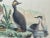 Illustration Horned & Eared Grebe Birds, After John Selby Print For Sale - Image 3 of 4