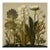 Dark Green Antique Botanical Garden Study No. 15 - Natural History Fine Art Print For Sale