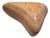 Dessin Mobel Pebble Boomerang M Bench by Sophie Le Bienvenu – Ex-Zaha Hadid Lead Architect, Limited Edition, CNC-Milled Plywood, Peru 2021 For Sale