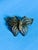 Victorian Vintage 1960s Filigree Butterfly Brooch Pin With Cannetille Style Openwork For Sale - Image 3 of 16