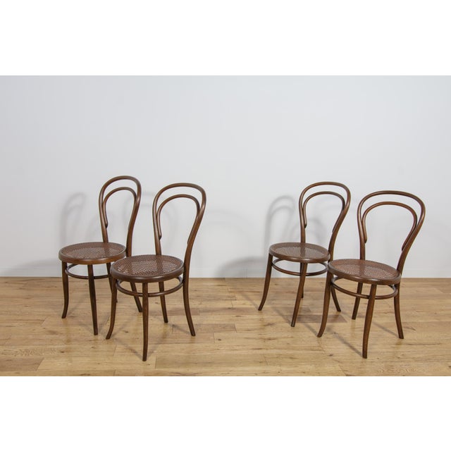 No. 14 Chairs by Michael Thonet for Josef Hoffmann, 1900s, Set of 4 For Sale - Image 4 of 18