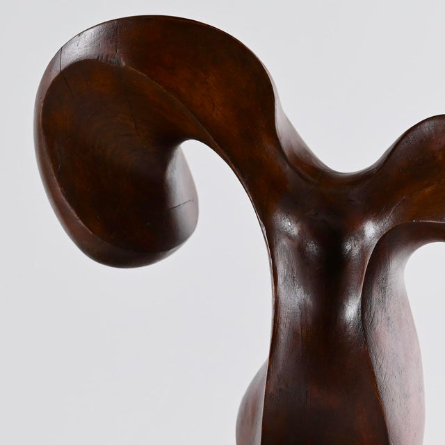 Mario Dal Fabbro 1981 Mario Dal Fabbro Biomorphic Wooden Sculpture, Signed For Sale - Image 4 of 7