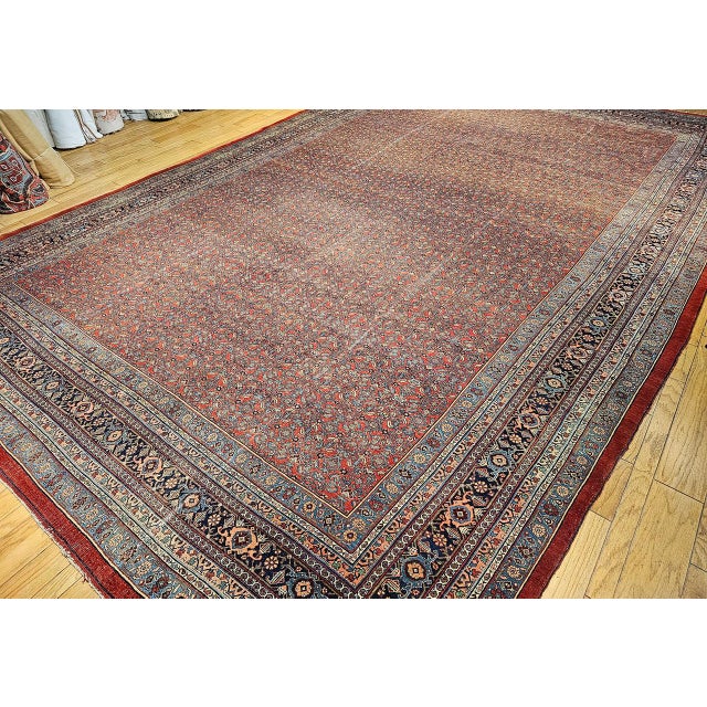Early 20th Century Bidjar Rug For Sale - Image 9 of 18