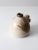 Wizards of Clay Studio Pottery Jug For Sale - Image 9 of 13