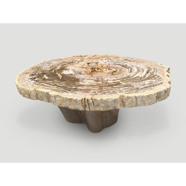 Andrianna Shamaris Oval Petrified Wood Coffee Table with an Organic Teak Base For Sale In New York - Image 6 of 6