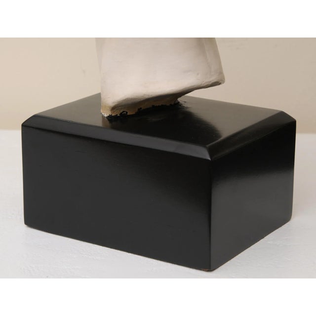 Wood Vintage Plaster of Paris Female Head Bust Sculpture on Black Wood Base, Restored, Italy, 1960's For Sale - Image 7 of 10