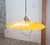 Counterweight Pendant Lamp from Saliscendi, Italy, 1950s For Sale - Image 4 of 15